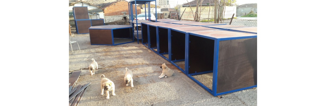 K9 Eğitim parkuru tamamlandı